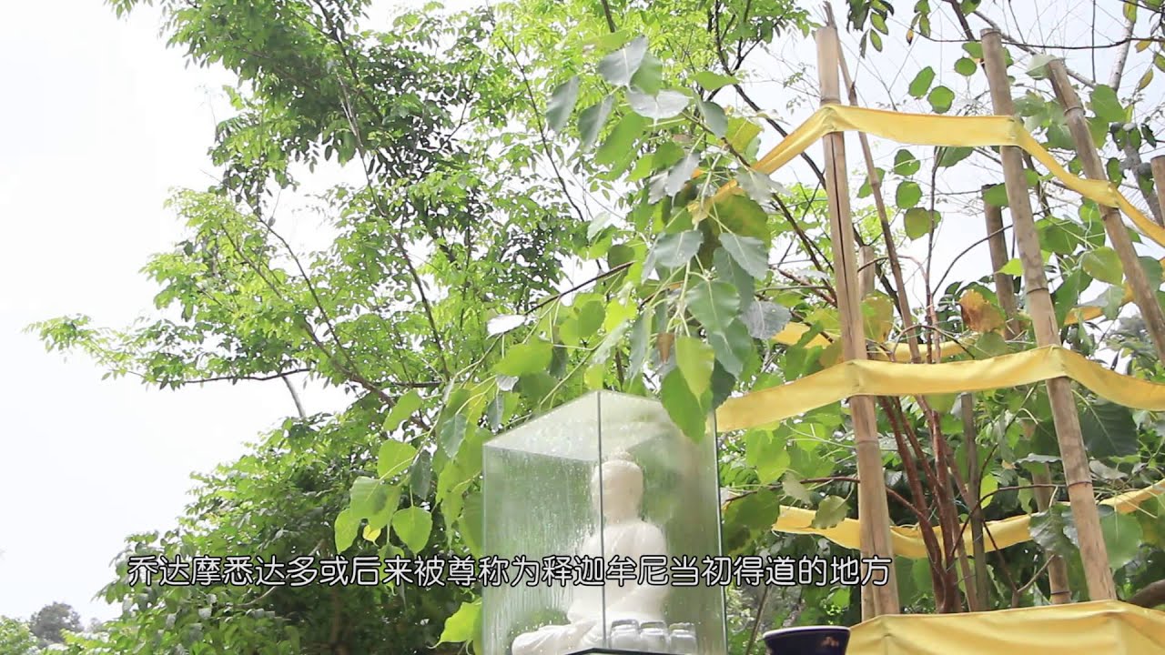 Nandaka Vihara Meditation society