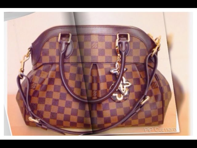 Louis Vuitton Damier Ebene Canvas Trevi PM Bag – STYLISHTOP