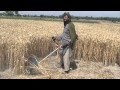 Youtube Thumbnail Wheat Cutting Tool