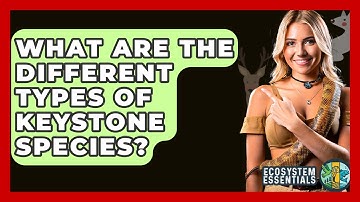 What Are The Different Types Of Keystone Species? - Ecosystem Essentials