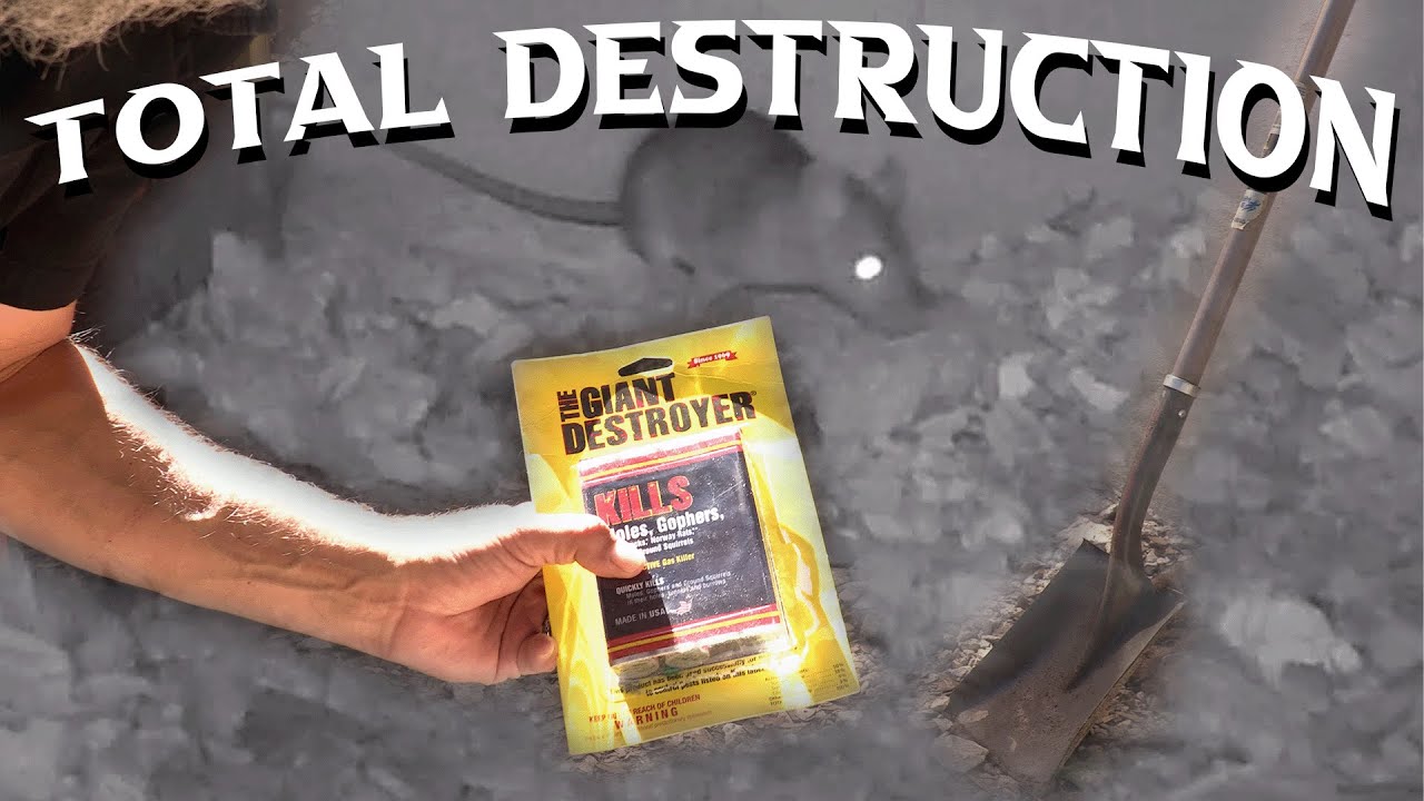 Splinter v Traps 7: Total Destruction - YouTube
