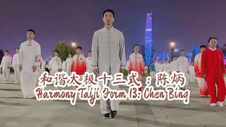 陈炳和谐太极十三式 Harmony Taiji Form 13 moves: Chen Bing and students in the city of Wuhan