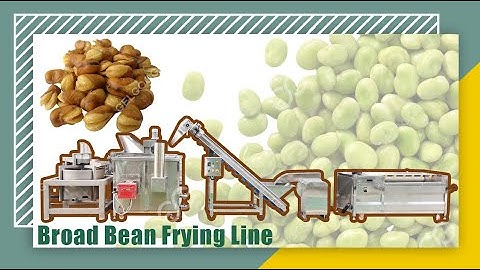 Industrial Fried Broad Bean Line Broad / Fava Bean Frying Line