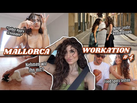 Haircut, take the cat, meet new people &&& - MALLORCA WORKATION 4