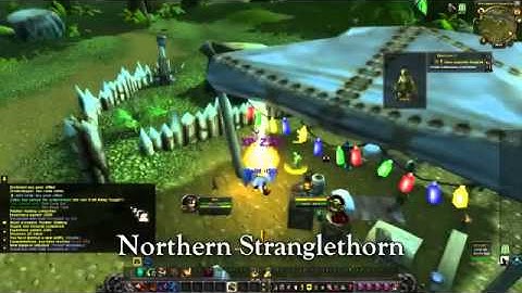 WoW fast leveling guide 1  90 In just 3 Days   WoW Leveling Guide  WoW Mist of Pandaria edition