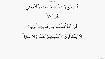 سورة الرعد بصوت علي الحذيفي