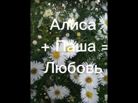 Алиса плюс Паша равно Любовь - YouTube