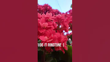 Ride it Ringtone | Jay Sean | (Instrumental)
