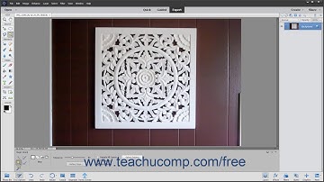 Photoshop Elements 2020 Tutorial The Magic Wand Tool  Adobe Training