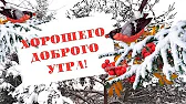 розовый вечер