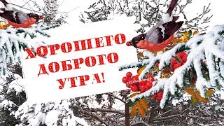 Хорошего доброго утра!