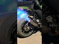 Fleme Thrawer Zx10r Sc Project S1 Loudest Exaust Shorts Kawasaki Superbike Zx10r Fleme Thrawer Zx10r Sc Project S1 Loudest Exaust Shorts Kawasaki Superbike Zx10r