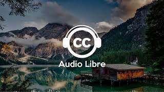 Musique Corporate Gratuite Calme Joyeuse Libre de Droits Entreprise  Scandinavianz   Campfire screenshot 4