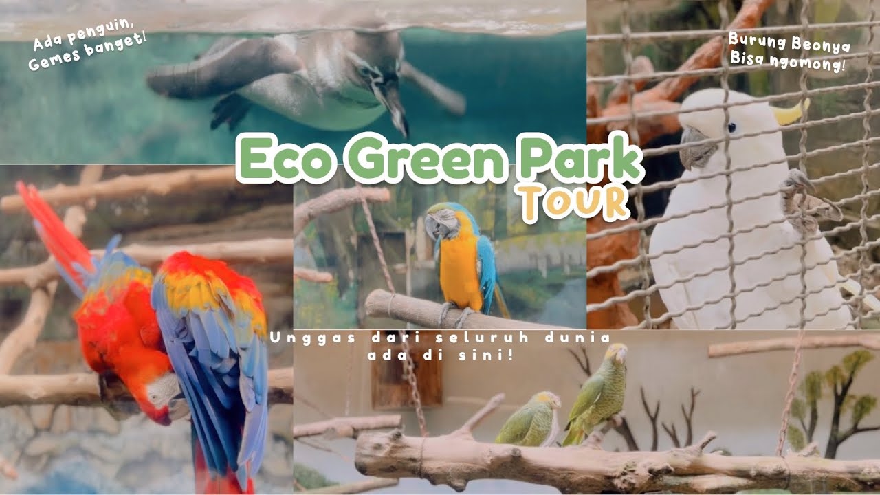 What's in Eco Green Park 2022? Jatim Park Walking Tour ! 