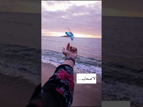 ديانا كرزون العمر ماشي