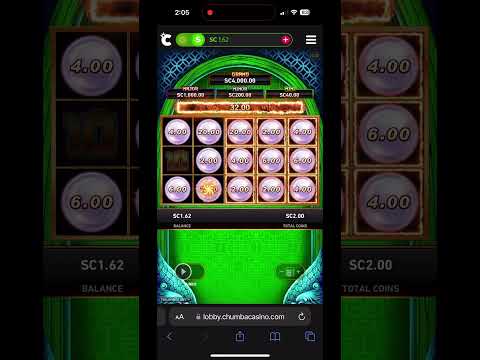 Spin Star Online Casino: Geniet van Onze Spelopties in het Nederlands
