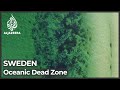 Sweden oceans: Scientists measure largest dead zone in world