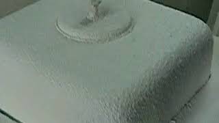 DSCN4432