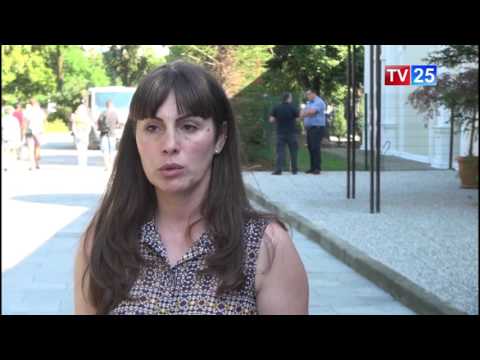 შერატონის მიმდებარედ დაავადებული ნაძვები ახლით ჩანაცვლდება