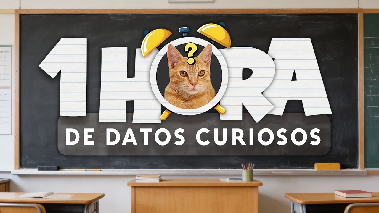 1 HORA DE DATOS ASOMBROSOS ⏰😲