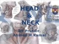 1 A Head Neck By Prof Dr Ahmed M Kamal Azharmedicine Com 1 A Head Neck By Prof Dr Ahmed M Kamal Azharmedicine Com
