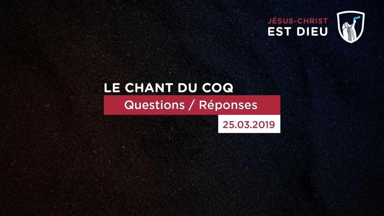 Questions/Réponses (SHORA KUETU - 25/03/19)
