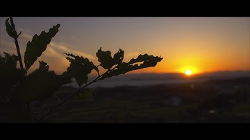 Panasonic GH5 HLG 4:2:2 10bit ALL-Intra Color Grading