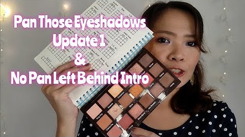 Pan Those Eyeshadows Update 1 | No Pan Left Behind Intro