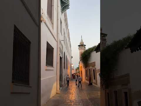 Video: Медина (Эски шаар) Тунис, Тунис