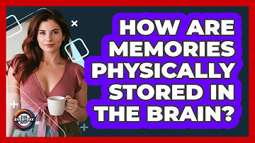 How Are Memories Physically Stored In The Brain? - The Everyday Why