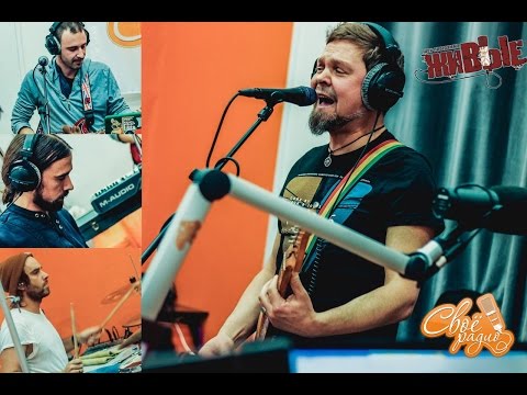 7раса - Система