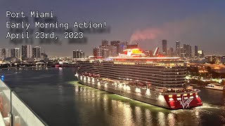 Port Miami Early Morning Action! April 23rd 2023!