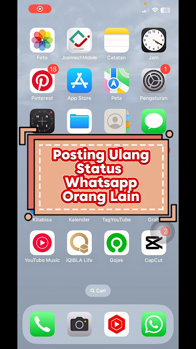 CARA REPOST STATUS WHATSAPP ORANG LAIN