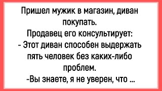 💎Как Мужик Диван Покупал! Сборник Смешных Анекдотов! Юмор! Настроение!