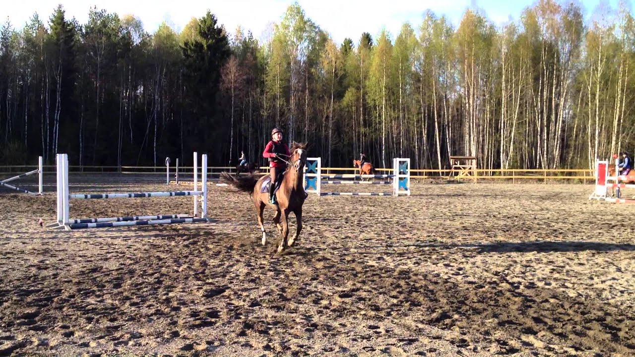 Woody og Iselin. sprangtrening 29 april. Danka trening_4