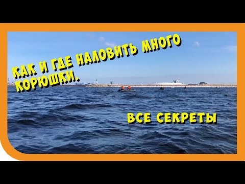 Видео: Коя крушка произвежда най-много топлина?