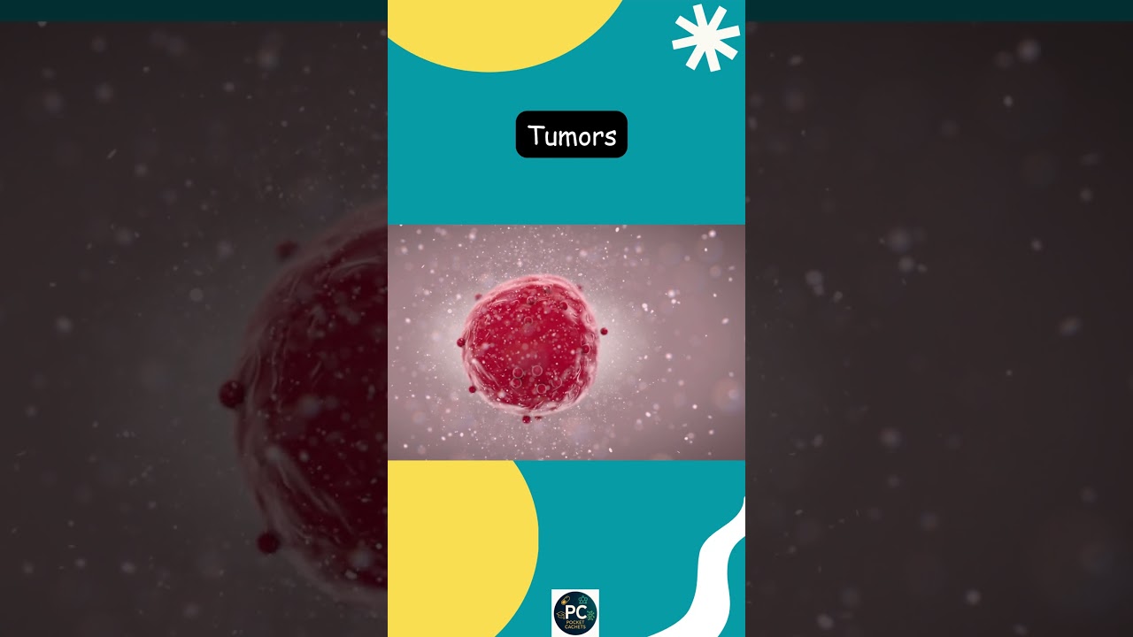 💊The Future of Medicine Is Injectable Nanobots #tablets #shorts #pharmafacts #physics