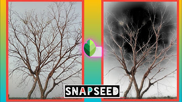 Nature photo editing in Snapseed || Make awesome ghost background effect 🤘Ghost Photo Editing