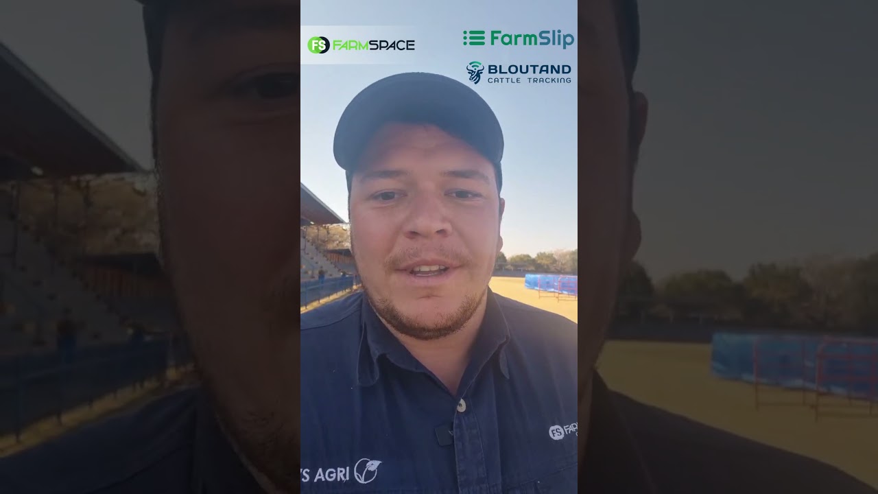 Schweizer klop weer met die Rondebult Hartklop Fees op 2 Augustus 2025.