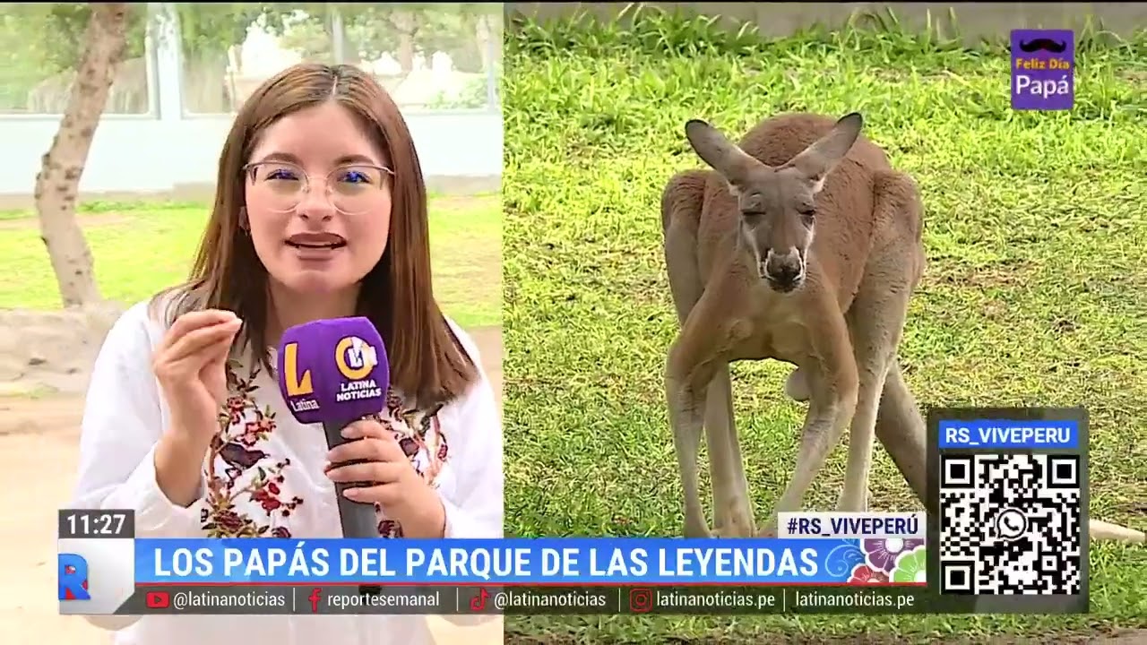 🔴 #ReporteSemanal | Conoce a los papitos del 'parque de las leyendas'.