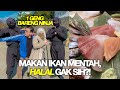 JALAN-JALAN KE JEPANG, DEMI MEMENUHI ISTERI BERTARUNG