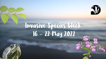 Invasive Species Week - Check, Clean Dry