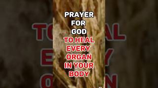 Prayer For Healing Of Every Organ In Your Body