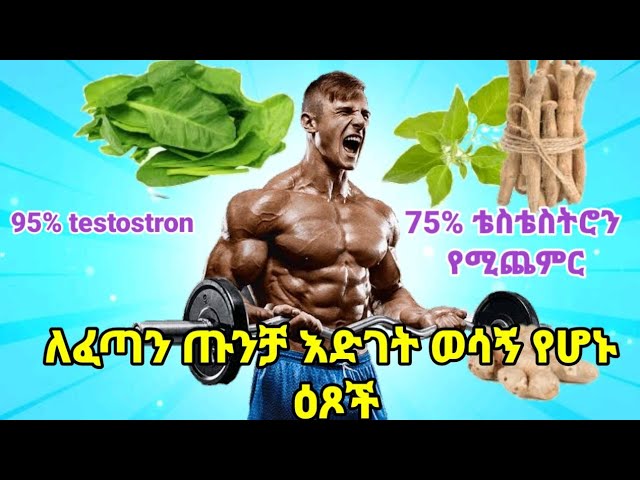 ለጡንቻ እድገት ወሳኝ የሆኑ ተክሎች/testosterone booster herbs