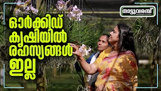 ഓർക്കിഡ് കൃഷിയിൽ രഹസ്യങ്ങൾ ഇല്ല | ORCHIDS | RYNCO ORCHIDS | PART 02 | NATTUVARAMBU #247 | JANAM TV