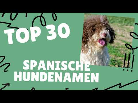 Video: Über 100 beliebte spanische Hundenamen und ihre Bedeutungen