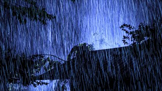 Fall Asleep Quickly with a Sudden Thunderstorm & Sound Rain Sounds on a Corrugated Iron Roof House