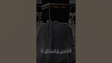 اكتب شي تؤجر عليه 🤍 #القارئ احمد خضر #القرآن_الكريم