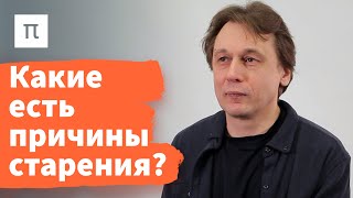 Что такое старение - Вадим Гладышев / ПостНаука