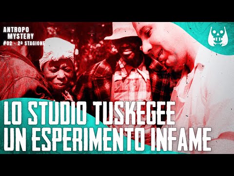 Video: Tuskegee è una città?